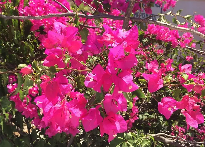 Appartamento Marathi Apartments Marathion